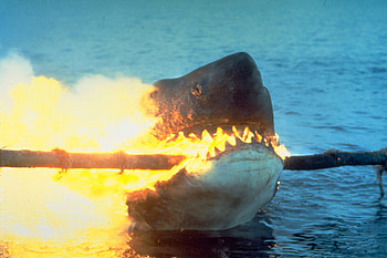 Demise, shock, shark, power line, ocean HD wallpaper