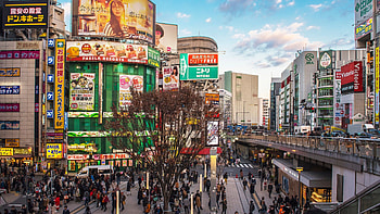 Shinjuku Tokyo, Urban district, Bustling nightlife, Bright city lights HD wallpaper