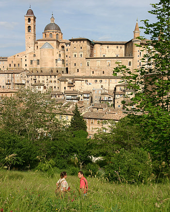 Walking in Le Marche, Italy, ATG Oxford HD phone wallpaper