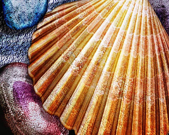 Shells, Art, Rivers, nature, Colors HD wallpaper