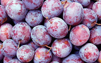 Plum close-up, Healthy snack, background, Mobile HD wallpaper