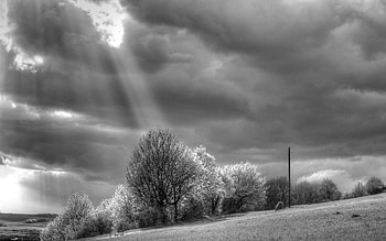 Ratisbon, white, shaft of light, black, graphy, beautiful, rolling hills, fields, clouds, trees, nature, storm HD wallpaper