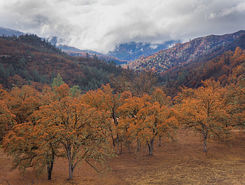 Landscape, Nature, Trees, Mountains, Clouds, Hills HD wallpaper