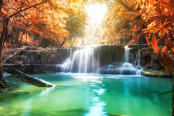 Waterfall, river, nature, tree HD wallpaper