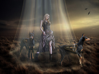 Fantasy Women With Dogs, fantasy-girls, doberman, dog, animals, artist, deviantart HD wallpaper