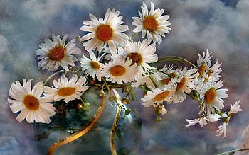 Flowers, Background, Sky, Clouds, Camomile, Bouquet, Vase HD wallpaper