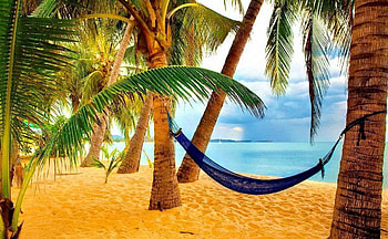 Summer, sea, palm, beach HD wallpaper