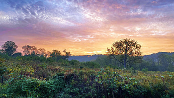 Cromwell Valley State Park, Maryland, leaves, fall, trees, autumn, landscape, colors, clouds, sky, usa HD wallpaper