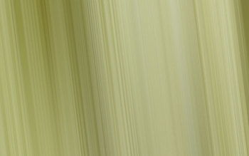 Abstract, Lines, Color, Monochromatic, Plain, Dim HD wallpaper