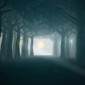 Trees, Art, Rain, Night, Shine, Light, Forest, Floodlights, Spotlights HD phone wallpaper