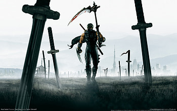 Ninja gaiden, games, white, black, ps2, ps3, field, samurai, battle, xbox, video, katana HD wallpaper