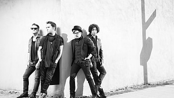Fall Out Boy, Music artists, Band members, Celebrity HD wallpaper