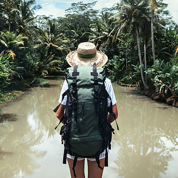 Tropical forest, Backpacking HD phone wallpaper