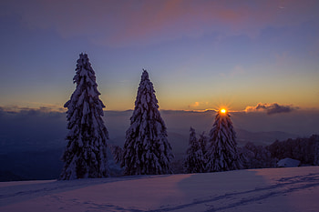 Trees, landscape, sunset, winter, clean sky HD wallpaper