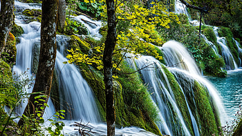 Forest waterfall, summer, trees, waterfall, beautiful, forest HD wallpaper