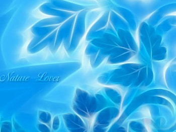 Nature Lover (Blue), blue, branch, lover, leaves, branches, trees, nature, nature lover HD wallpaper