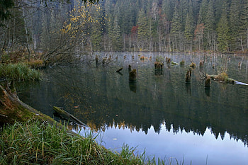 Romania-Red Lake, romania, red lake HD wallpaper