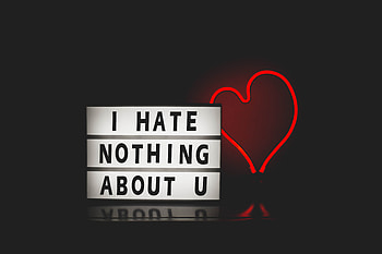 I Hate Nothing About You, typography, love HD wallpaper