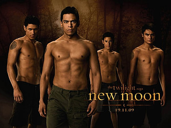 Wolf Pack- New Moon, new moon, pack, jacob black, wolf, wolfpack HD wallpaper