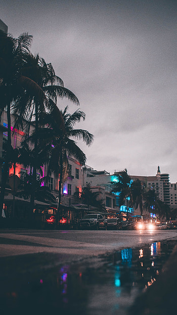 Miami, Cities, Auto, Palms, Usa, Building, United States, Street HD phone wallpaper