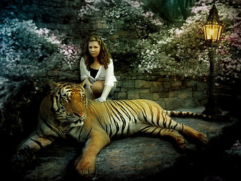 Love my big Cat, cat, tiger, light, woman HD wallpaper