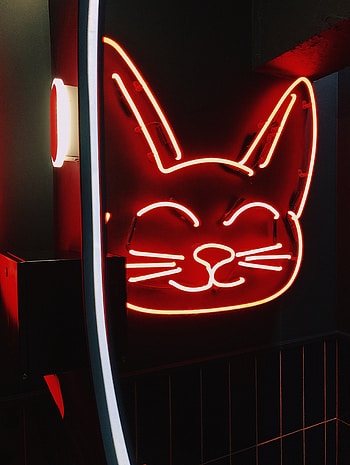 Dark, Shine, Light, Cat, Neon, Sign, Signboard HD phone wallpaper