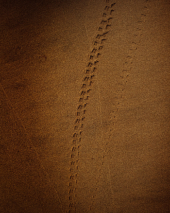 Sand, Texture, Textures, Brown, Track, Trace HD phone wallpaper