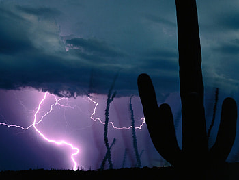 DESERT STORM, desert, lighting, storm, cactus HD wallpaper
