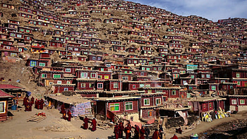 amazing log homes in a himalayan village, slope, house, logs, people, village, mountain HD wallpaper