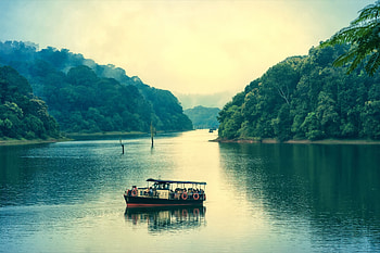 Periyar National Park, Kerala HD wallpaper