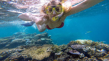 Great Barrier Reef, Snorkeling HD wallpaper