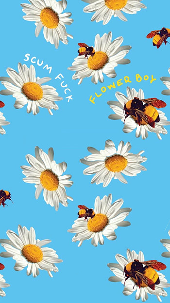 if anyone wants ... HD phone wallpaper