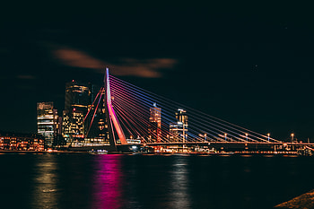 Building, Lights, Dark, Coast, Night City, Bridge HD wallpaper