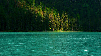 Nature, Water, Trees, Lake, Glare, Spruce, Fir HD wallpaper