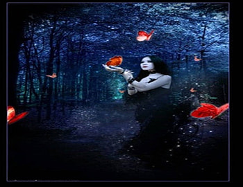 Crimson Butterfly, night, lady, darkness, art, park, red butterflies HD wallpaper
