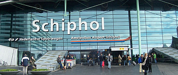 Amsterdam-Schiphol Airport, Tulip fields, Holland travel, Floral beauty HD wallpaper