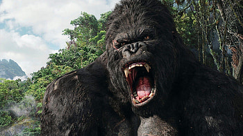 King Kong, , , Backgrounds HD wallpaper