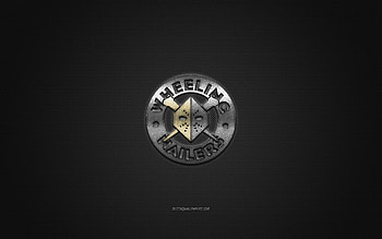 Wheeling Nailers, American hockey club, ECHL, silver logo, gray carbon fiber background, East Coast Hockey League, hockey, West Virginia, USA, Wheeling Nailers logo HD wallpaper