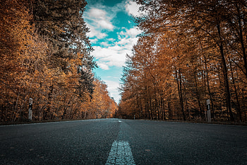 Nature, Trees, Autumn, Road HD wallpaper