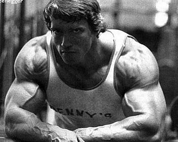 ARNOLD, mobiles, for pc HD wallpaper