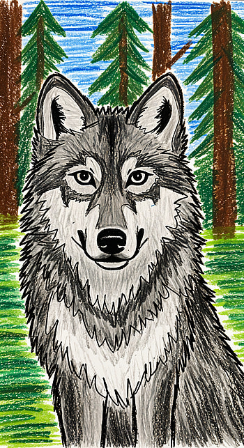 Forest Guardian — Gray Wolf , wolf HD phone wallpaper