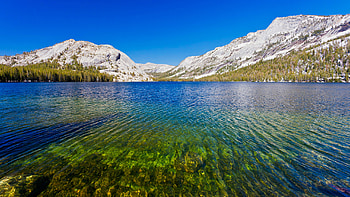 Tenaya Lake Yosemite National Park HD wallpaper