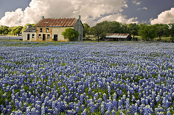 Texas Hill Country , Stunning landscapes, Texas beauty, Nature's tranquility HD wallpaper