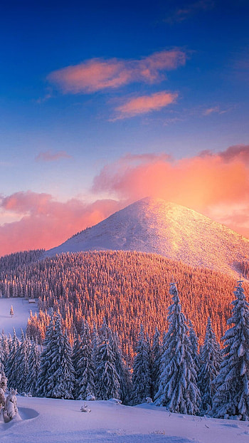 Best winter backgrounds, Snowy landscapes, winter , Nature's beauty HD phone wallpaper