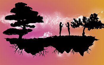 Trees, Night, Dance, Vector, Island HD wallpaper