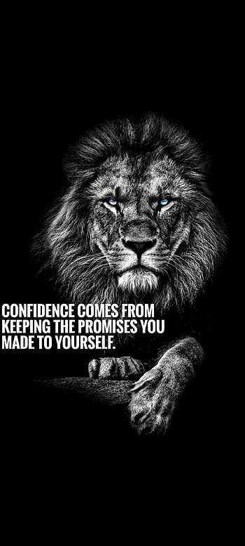 Motivation, terrestrial animal, whiskers, growth, black and white, lion HD phone wallpaper