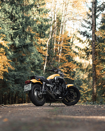 Trees, Motorcycles, Yamaha, Asphalt, Side View, Motorcycle, Bike HD phone wallpaper