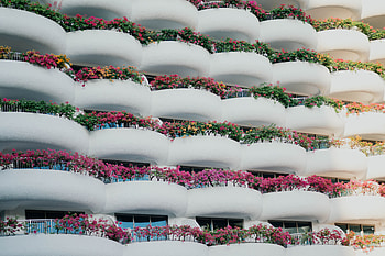 Flowers, Architecture, Building, Miscellanea, Miscellaneous, Balconies HD wallpaper