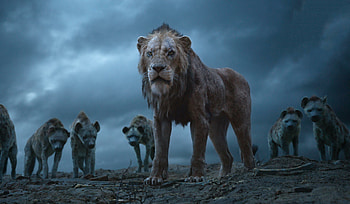Scar, The Lion King HD wallpaper