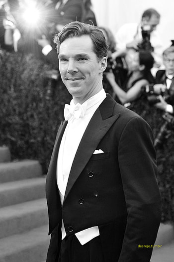 Benedict Cumberbatch, Met Gala 2014, Red carpet style, Fashion icon HD phone wallpaper